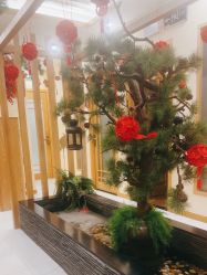 -芳朵美容养生SPA