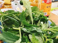 -15年老字号鑫鑫猪肚鸡·椰子鸡海南火锅(兴隆华侨农场店)