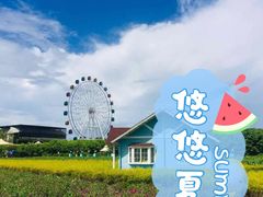 -百万葵园