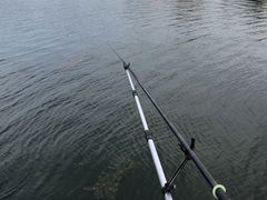 -酷鱼垂钓CLUB(朝阳区博大路店 )