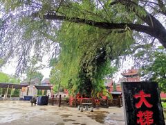 -大槐树寻根祭祖园