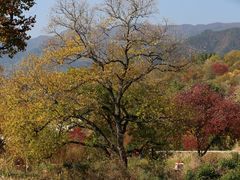-塔川景区