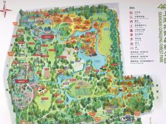 餐饮设施-上海共青森林公园