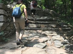 -北京鹫峰国家森林公园