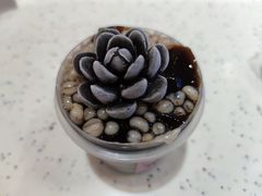 -鲜芋仙(群光广场店)
