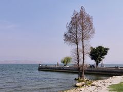 -大理洱海