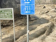 -白水寺森林公园