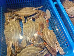 -三个渔夫·蒸汽海鲜(小白楼店)