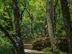 -光雾山旅游景区