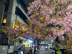 -京都御所