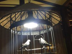 -博山菜·大厨烙馍村(金乔社区店)