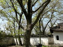 -上海佘山国家森林公园天马山园