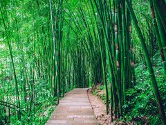 -四洞沟景区