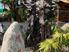 -大槐树寻根祭祖园