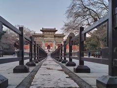 -北陵公园