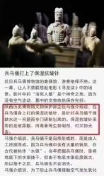 -LUNA皮相美·骨相美高级美感