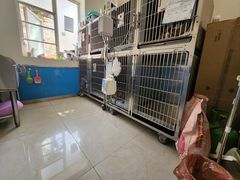 -康爱犬猫诊所·牙专科·骨外科·影像内科(丰宁店)