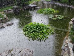 -燕莎友谊商城(亮马桥店)
