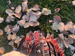 -汉长安城未央宫国家考古遗址公园