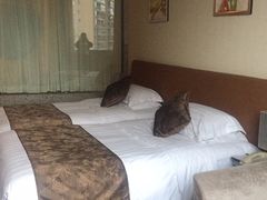 -成都凯宾斯基饭店