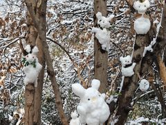 -敬亭山风景名胜区