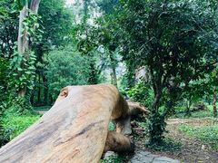 -华南国家植物园-售票处