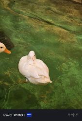 -Zoolung Zoolung动物主题公园(海信广场店)