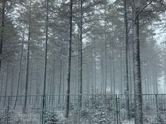 -塞罕坝国家级自然保护区