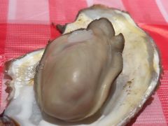 -为民烧烤吧.自贡爆炒菜(收录10年好店)