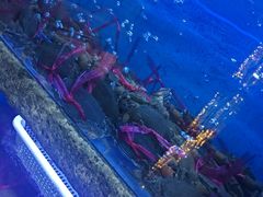 -鲜味食族水产·海鲜餐厅