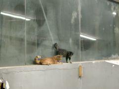 -COMMUNE幻师(五角场店)