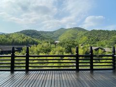 -大唐贡茶院