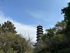 -重庆园博园