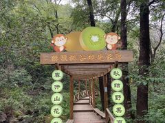 -大岭沟猕猴桃谷风景区
