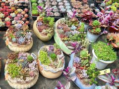 -李村大集