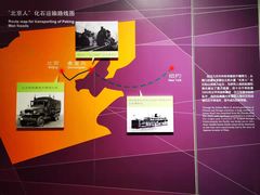 -北京周口店北京人遗址博物馆