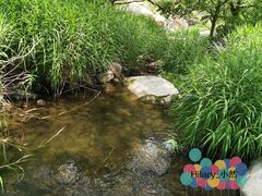 -碓臼峪自然风景区