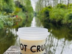 -合肥滨湖国家森林公园