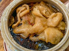 -黄祥华养生堂·炖汤·营养蒸饭(岭南天地店)
