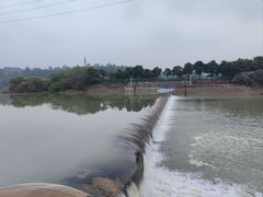 -广东花都湖国家湿地公园