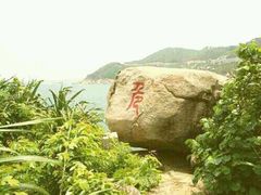 android_upload_pic-东澳岛