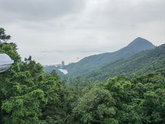 -太平山顶