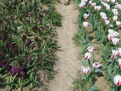 -双峰山国家森林公园-售票处