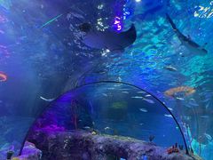 -沈阳海洋探索中心