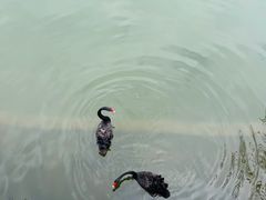 -静之湖度假区