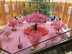 -AMG海上明珠影城(上海环球港RealDCinema店)