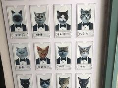 -喵屿·大理花园猫咖