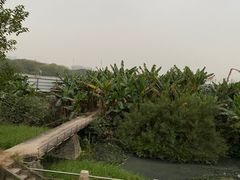-广东花都湖国家湿地公园