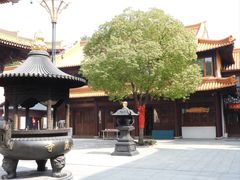 -亭林园-华藏寺