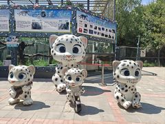 -青藏高原野生动物园